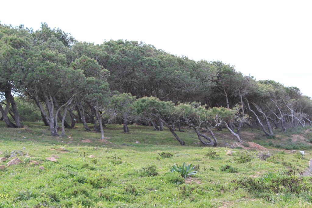 וילה דו ביספו Villa Boa Vista Sul - Terra Da Eira - Raposeira מראה חיצוני תמונה